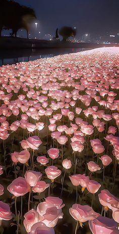 Eternal Embrace of Bloom Harmony